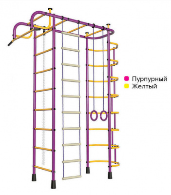 ДСК Пионер-2 пурпурный (окрашенные ступени)