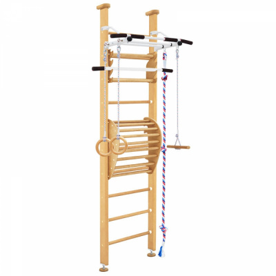 Домашний спортивный комплекс Karussell Angelika (без покрытия)