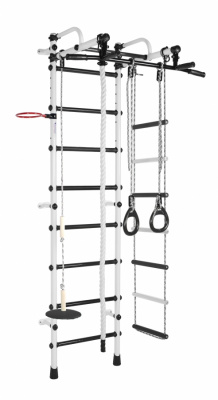 ДСК Лира (белый-черный)