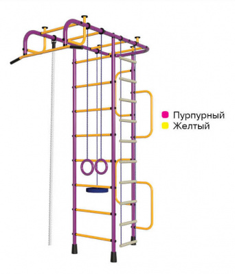ДСК Пионер-3 пурпурный (окрашенные ступени)