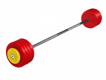 Штанга неразборная MB Barbell 47,5 кг с грифом 25 мм, обрезиненные цветные диски