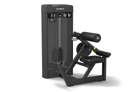Разгибание спины Spirit SP-4310