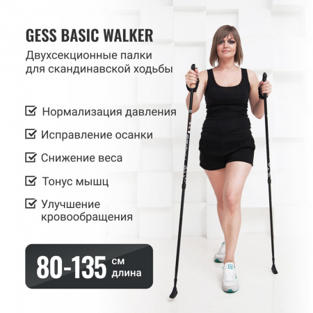 Палки для скандинавской ходьбы (двухсекционные) Basic Walker