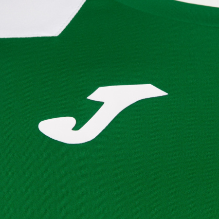Футболка мужская Joma Record II зелено-белая