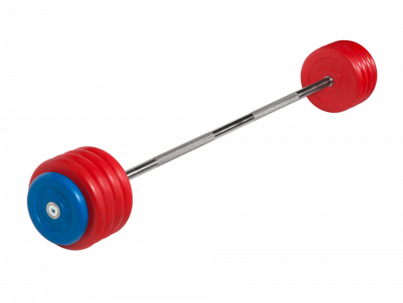 Штанга неразборная MB Barbell 50 кг с грифом 25 мм, обрезиненные цветные диски