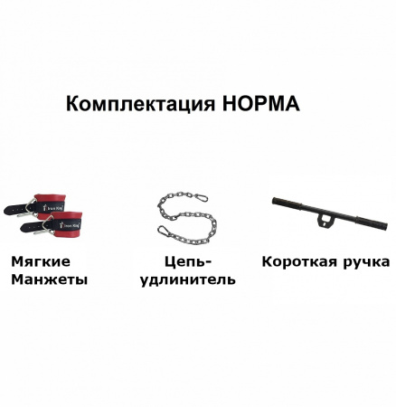 Сдвоенная рама и шведская стенка Iron King IK36