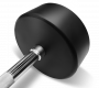 Штанга обрезиненная прямая Bronze Gym BG-PA-BB-S10 10 кг