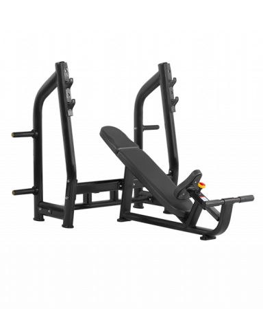 Скамья для жима с положительным наклоном Bronze Gym H-025