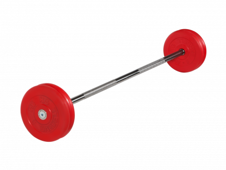 Штанга неразборная MB Barbell 25 кг с грифом 25 мм, обрезиненные цветные диски