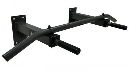Турник настенный DFC Homegym G120