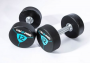 Гантели уретановые Livepro Premium Urethane Dumbbells 30 кг