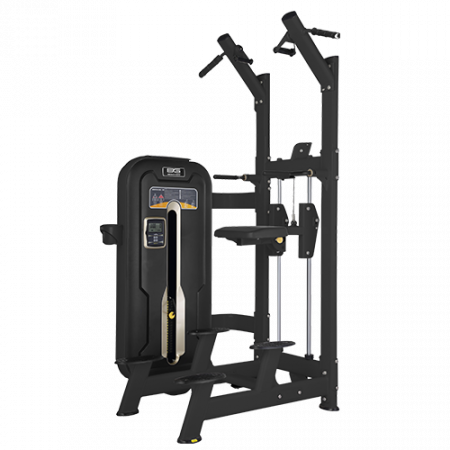 Bronze Gym MZM-008 Гравитрон