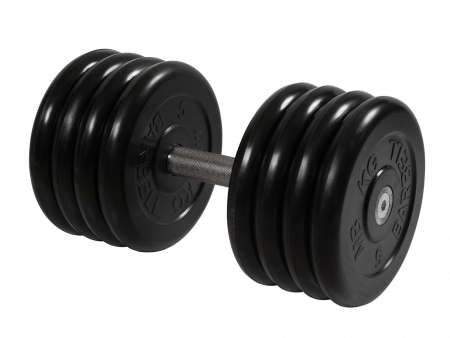 Гантель неразборная Barbell Профи 41 кг