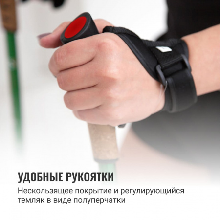 Палки для скандинавской ходьбы (трехсекционные) Classic Walker
