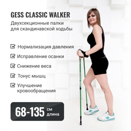 Палки для скандинавской ходьбы (трехсекционные) Classic Walker