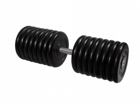 Гантель неразборная Barbell Профи 81 кг