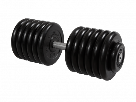 Гантель неразборная Barbell Профи 63,5 кг с вращающейся ручкой