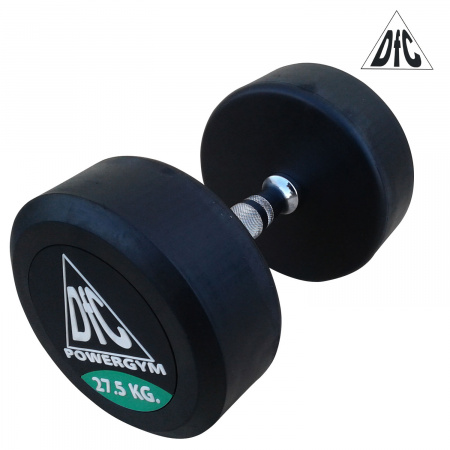 Гантели пара 27.5 кг DFC PowerGym