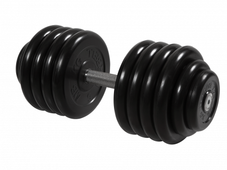 Гантель неразборная Barbell Профи 48,5 кг с вращающейся ручкой