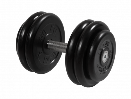 Гантель неразборная Barbell Профи 26 кг