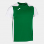 Футболка мужская Joma Record II зелено-белая