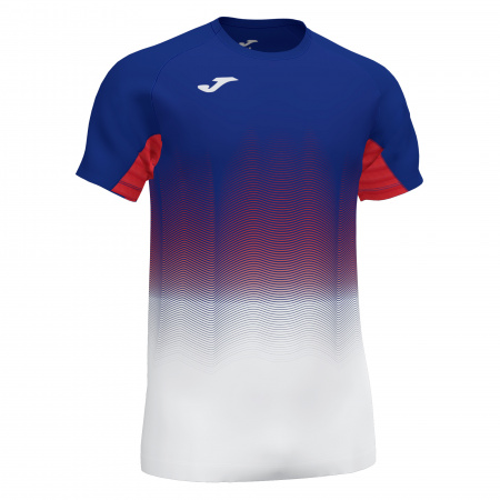 Футболка мужская Joma Elite VII сине-белая