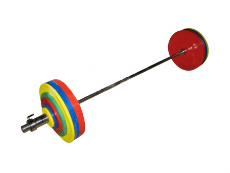 Штанга для пауэрлифтинга Profigym 282,5 кг цветные диски