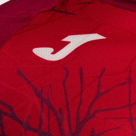 Футболка мужская Joma Elite IX красная