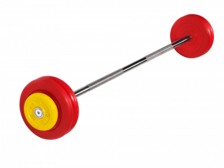 Штанга неразборная MB Barbell 27,5 кг с грифом 25 мм, обрезиненные цветные диски