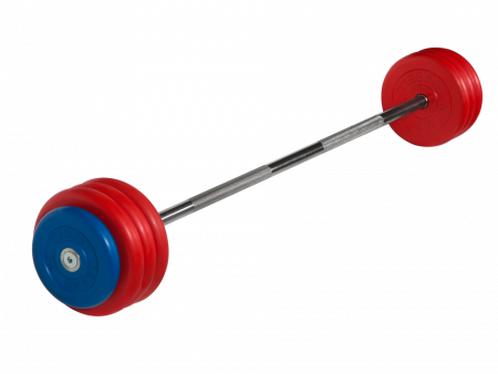 Штанга неразборная MB Barbell 40 кг с грифом 25 мм, обрезиненные цветные диски