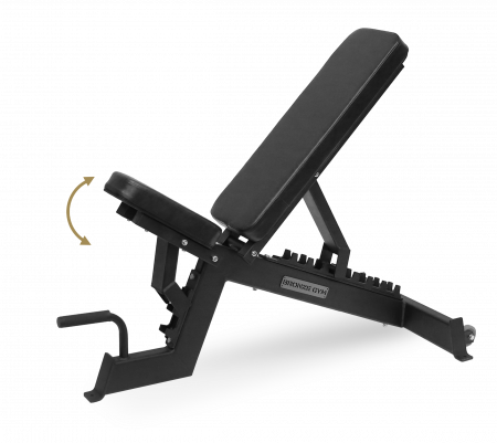 Скамья универсальная Bronze Gym AL-302