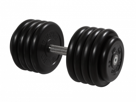 Гантель неразборная Barbell Профи 46 кг
