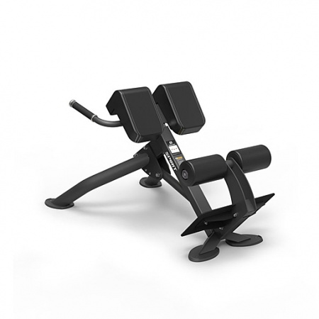 Гиперэкстензия под углом 45 градусов Spirit SP-4220