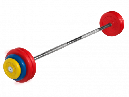 Штанга неразборная MB Barbell 32,5 кг с грифом 25 мм, обрезиненные цветные диски