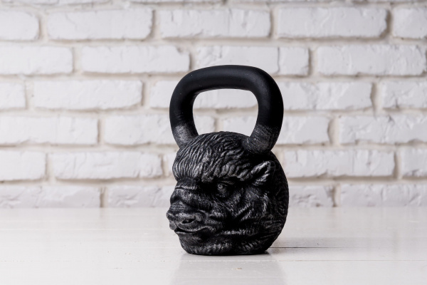 Гиря чугунная Iron Head Бизон 24 кг