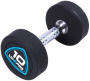 Гантели уретановые Livepro Studio Dumbbells 10 кг