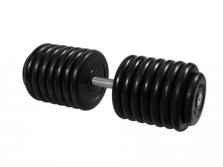 Гантель неразборная Barbell Профи 76 кг