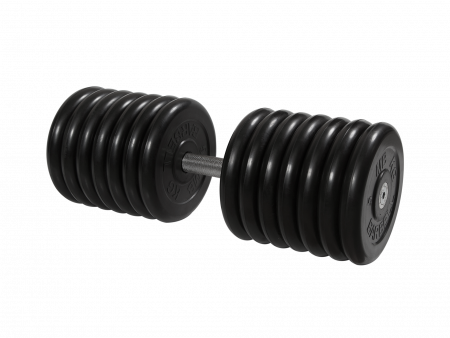 Гантель неразборная Barbell Профи 71 кг