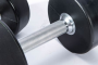 Гантели в уретане Livepro Premium Urethane Dumbbells