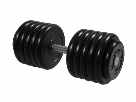 Гантель неразборная Barbell Профи 56 кг