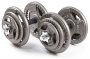 Гантели разборные металлические Atlas Sport Хаммертон 2 x 19 кг