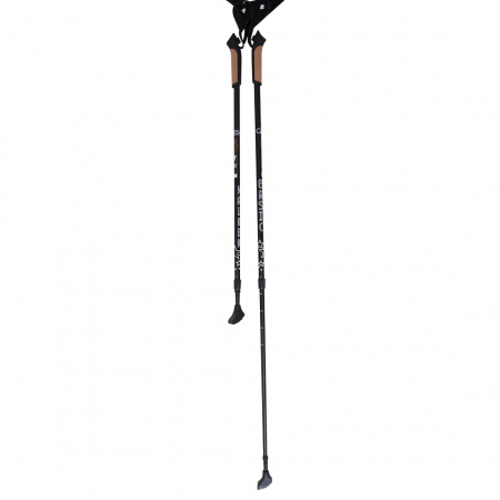 Палки для скандинавской ходьбы (двухсекционные) Basic Walker