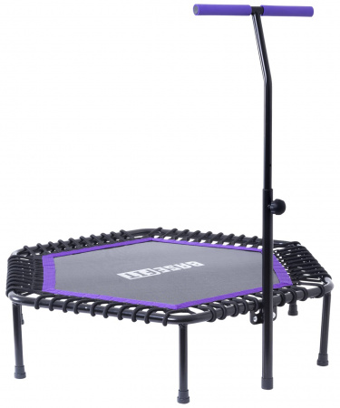 Батут BaseFit с держателем (101 см фиолетовый)