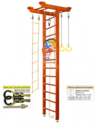 Шведская стенка Kampfer Big Sport Ceiling Basketball Shield (Высота 3 м)