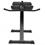 Римский стул/гиперэкстензия Domsen Fitness Ds31