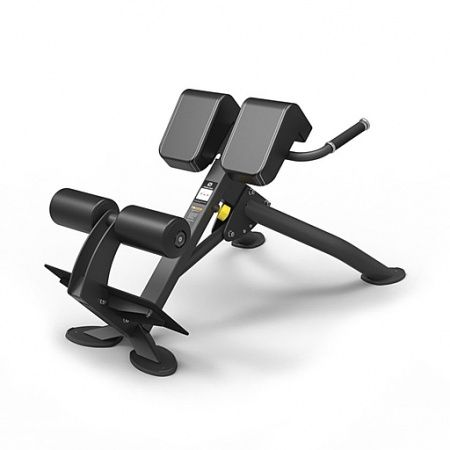 Гиперэкстензия под углом 45 градусов Spirit SP-4220