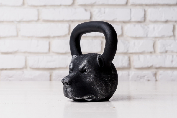 Гиря чугунная Iron Head Питбуль 16 кг