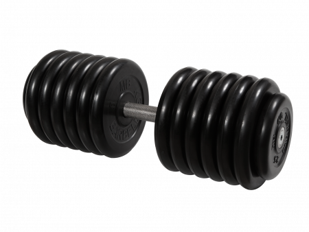 Гантель неразборная Barbell Профи 66 кг