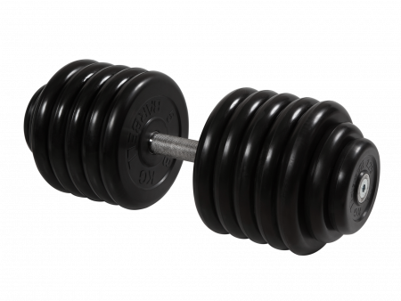 Гантель неразборная Barbell Профи 58,5 кг