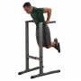 Брусья Body-Solid GDIP59